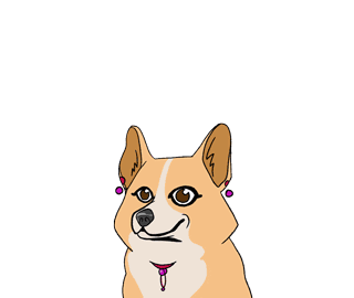animation au hover
