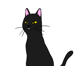 animation au hover